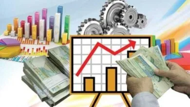 2266048.jpg