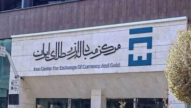 5435654.jpg