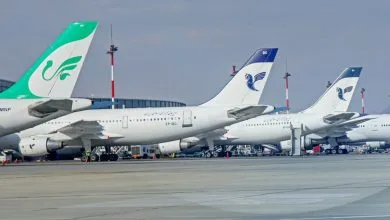 5451395.jpg
