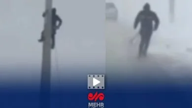 5454529.jpg