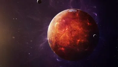 63379368.jpg