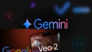 63424386.jpg