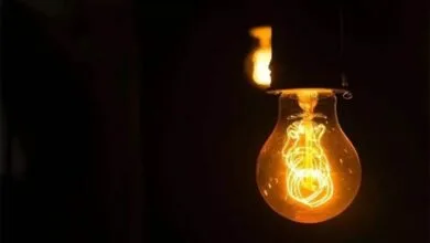 5307547.jpg