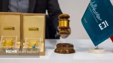 5538277.jpg