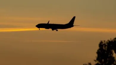 63223646.jpg