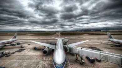 4833156.jpg