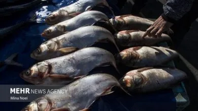 5533857.jpg
