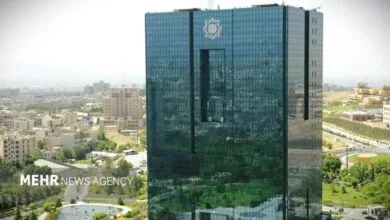 5554701.jpg