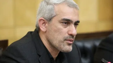 5578946.jpg